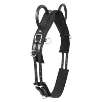 Surfaix de voltige Imperial Riding Vidal Noir