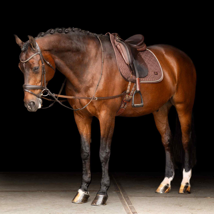 Enrênement élastique Imperial Riding Enrênement élastique Imperial Riding
