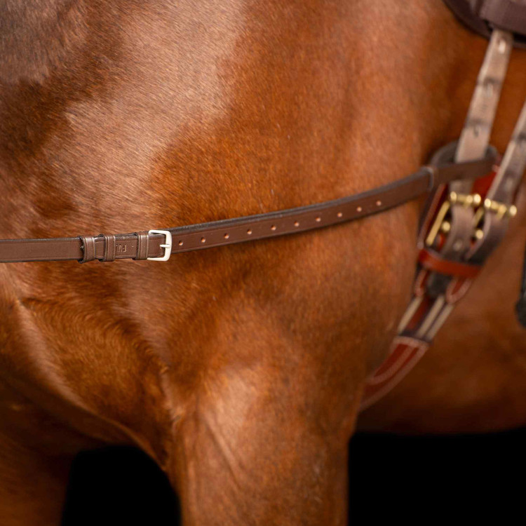 Enrênement élastique Imperial Riding Enrênement élastique Imperial Riding