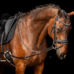 Enrênement élastique Imperial Riding Enrênement élastique Imperial Riding