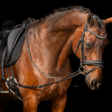 Enrênement élastique Imperial Riding Enrênement élastique Imperial Riding