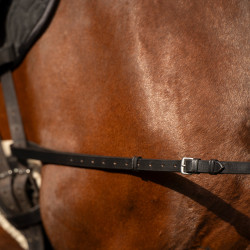 Enrênement élastique Imperial Riding Enrênement élastique Imperial Riding