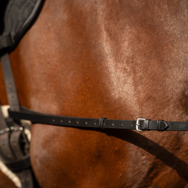 Enrênement élastique Imperial Riding Enrênement élastique Imperial Riding