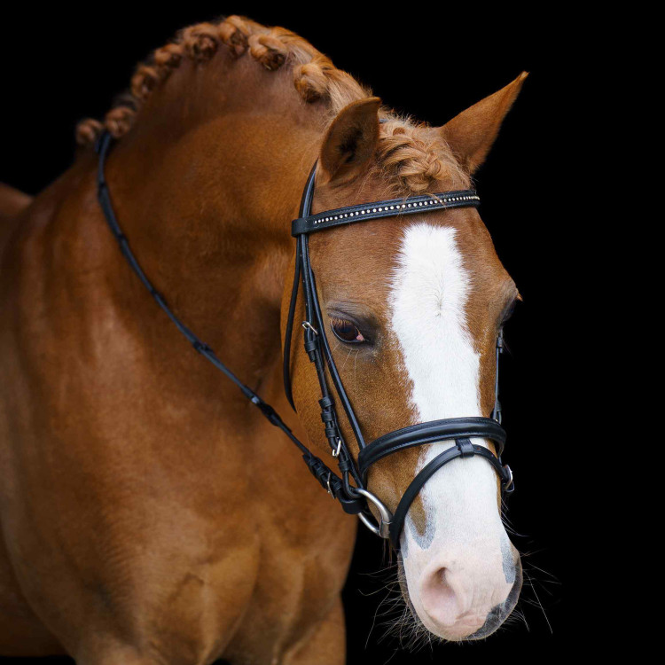 Bridon shetland Imperial Riding Stormy