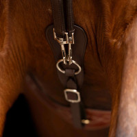 Rênes allemandes SH Imperial Riding Core Marron