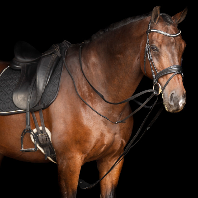 Rênes allemandes SH Imperial Riding Core Rênes allemandes SH Imperial Riding Core