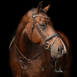 Martingale Imperial Riding Core Marron