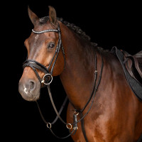 Martingale Imperial Riding Core Marron