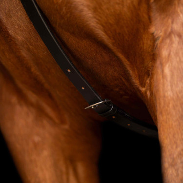 Martingale Imperial Riding Core Noir Martingale Imperial Riding Core Noir