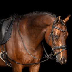 Enrênement Imperial Riding Core Noir Enrênement Imperial Riding Core Noir