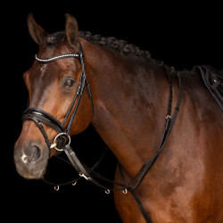 Enrênement Thiedemann Imperial Riding Core Noir Enrênement Thiedemann Imperial Riding Core Noir