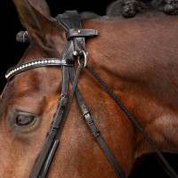 Chambon Imperial Riding Core Noir Chambon Imperial Riding Core Noir