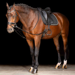 Rênes Triangle Imperial Riding Core Noir