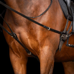 Rênes Triangle Imperial Riding Core Noir
