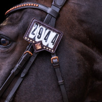 Porte-numéro pour tapis de selle Imperial Riding Show and Glow Marron / croco marron