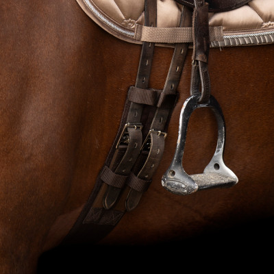 Sangle de dressage Imperial Riding Core Marron