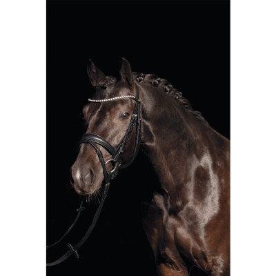 Bridon Bella HKM Noir