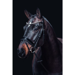 Bridon Fleur HKM Noir Bridon Fleur HKM Noir