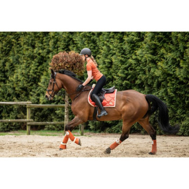 Bandes de polo Edinburgh HKM Bandes de polo Edinburgh HKM
