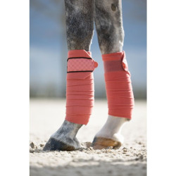 Bandes de polo Rosewood HKM Rouille Marron