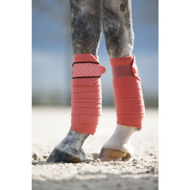 Bandes de polo Rosewood HKM Bandes de polo Rosewood HKM
