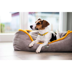 Lit pour chien Anam Cara Comfort HKM Taupe / doré jaune Gris