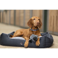 Lit pour chien Buddy Robust HKM Noir / gris Lit pour chien Buddy Robust HKM Noir / gris