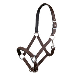 Licol Charming doublure douce HKM Marron