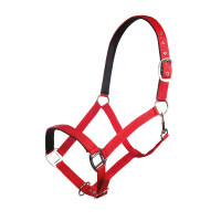 Licol Charming doublure douce HKM Cerise