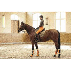 Tapis Allure Cheval HKM Vert olive Tapis Allure Cheval HKM Vert olive