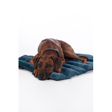 Tapis pour chien Anam Cara Travel HKM Tapis pour chien Anam Cara Travel HKM