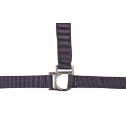 Licol Stars HKM