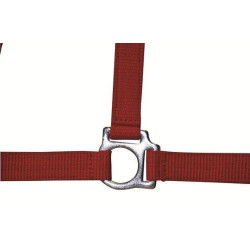 Licol Stars Economy HKM Rouge