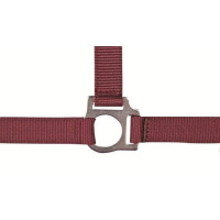 Licol Stars Economy HKM Rouge foncé Licol Stars Economy HKM Rouge foncé