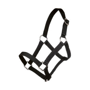 Licol Minishetty HKM Noir