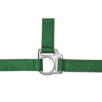 Licol Stars Economy HKM Vert clair