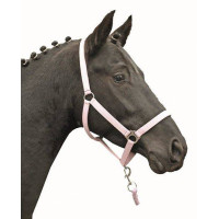 Licol Stars Economy Softice HKM Milky pink