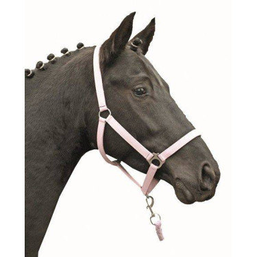 Licol Stars Economy Softice HKM Milky pink