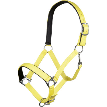Licol Stars Softice doublure douce HKM
