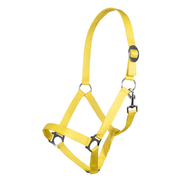 Licol Stars Economy Softice HKM Jaune fluo Licol Stars Economy Softice HKM Jaune fluo
