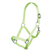 Licol Stars Economy Softice HKM Vert fluo Licol Stars Economy Softice HKM Vert fluo