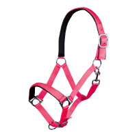 Licol Stars Softice doublure douce HKM Pink néon Rose