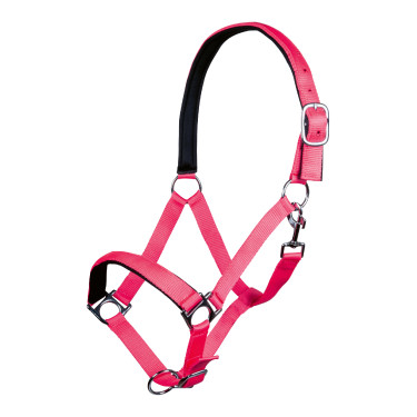 Licol Stars Softice doublure douce HKM Pink néon Rose