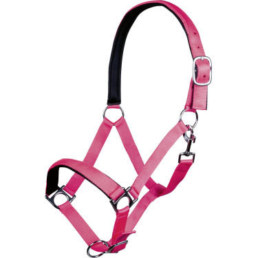 Licol Stars Softice doublure douce HKM Pink néon Rose