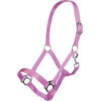 Licol Innsbruck HKM Rose