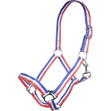 Licol Budapest HKM Licol Budapest HKM