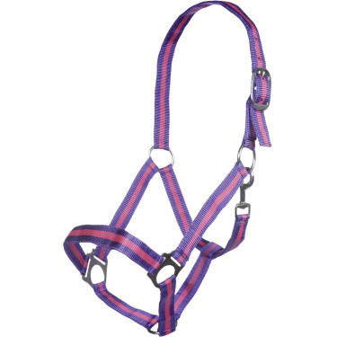 Licol Budapest HKM Lilas / pink Violet