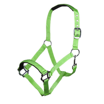 Licol Sydney Style HKM Vert fluo