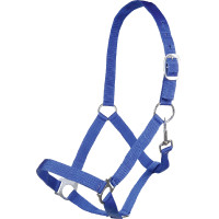 Licol Brisbane HKM Bleu royal