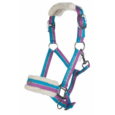 Licol Funny Horses HKM Violet / aqua / argent